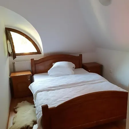 Holiday home Pensiunea Ancuta Din *