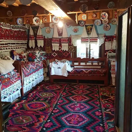 Pensiunea Ancuta Din Holiday home