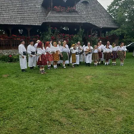 Pensiunea Ancuta Din