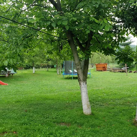Pensiunea Ancuta Din Holiday home Botiza