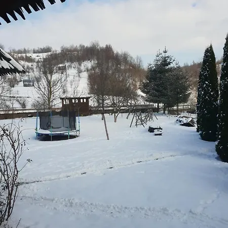 Pensiunea Ancuta Din Holiday home Botiza