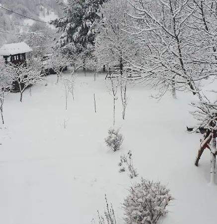 Pensiunea Ancuta Din Holiday home Botiza