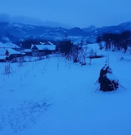 Pensiunea Ancuta Din Holiday home