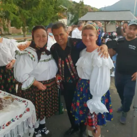 Dom wakacyjny Pensiunea Ancuta Din *