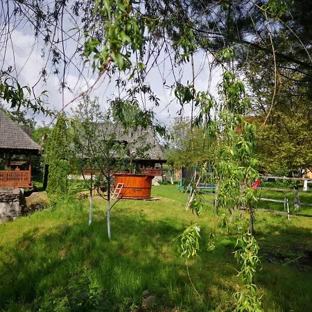 Pensiunea Ancuta Din Holiday home *
