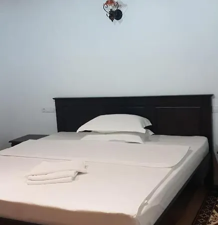 Pensiunea Ancuta Din Holiday home *