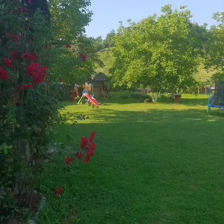 Pensiunea Ancuta Din Holiday home