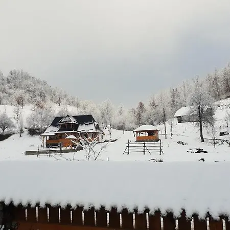 Pensiunea Ancuta Din