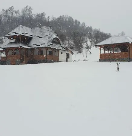 Holiday home Pensiunea Ancuta Din