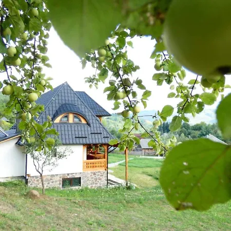 Pensiunea Ancuta Din Holiday home Botiza