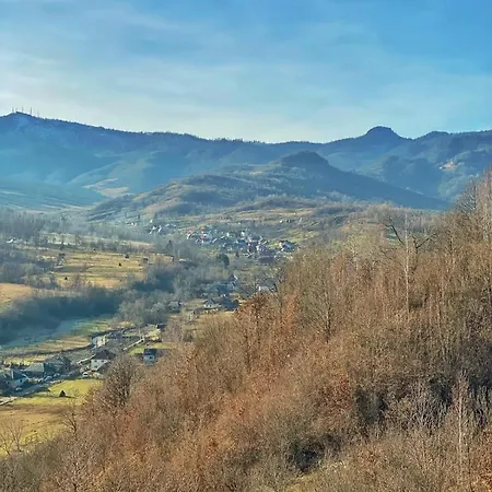 Holiday home Pensiunea Ancuta Din