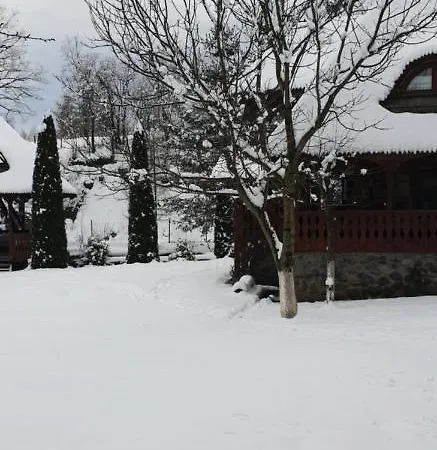 Pensiunea Ancuta Din Botiza