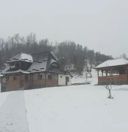 Pensiunea Ancuta Din Holiday home