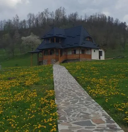 Pensiunea Ancuta Din *