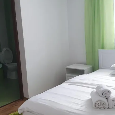 Holiday home Pensiunea Ancuta Din