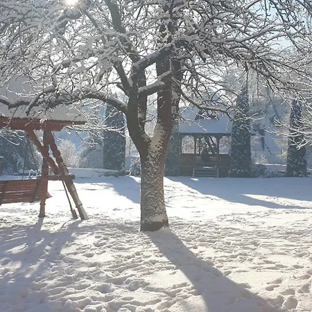 Pensiunea Ancuta Din * Botiza