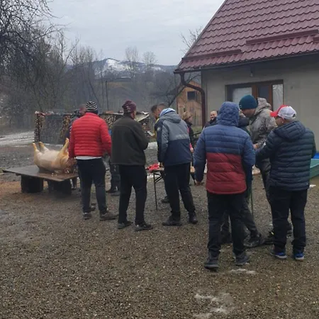 Dom wakacyjny Pensiunea Ancuta Din
