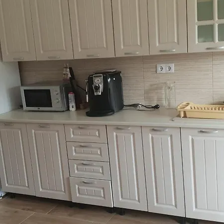 Holiday home Pensiunea Ancuta Din Botiza