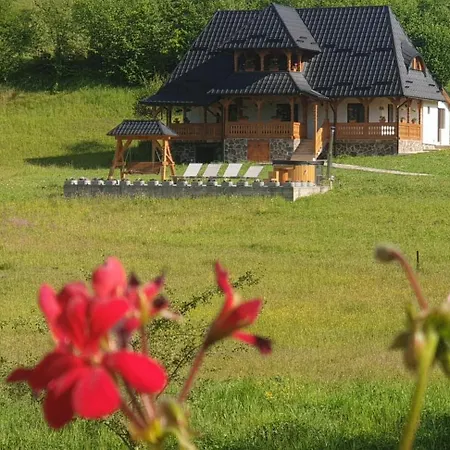 Pensiunea Ancuta Din Holiday home *
