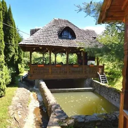 Pensiunea Ancuta Din Holiday home