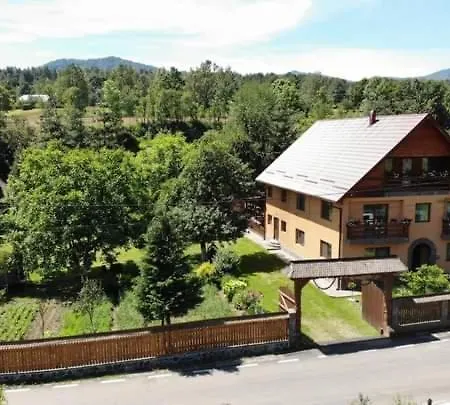 Pensiunea Ancuta Din Holiday home