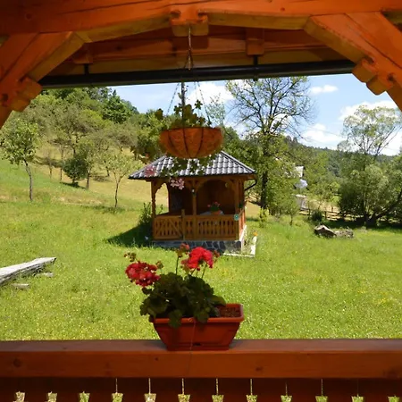 Holiday home Pensiunea Ancuta Din