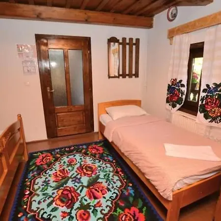 Pensiunea Ancuta Din