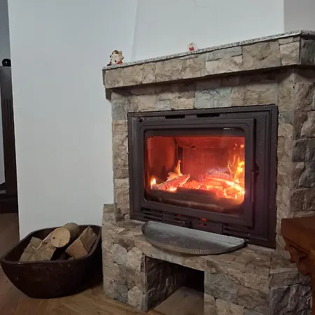 Pensiunea Ancuta Din Holiday home