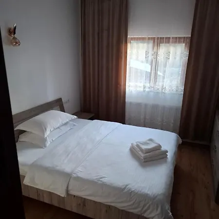 Pensiunea Ancuta Din Holiday home *
